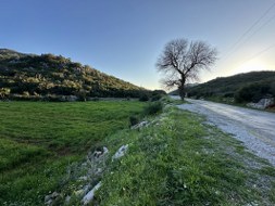 Marmaris - Söğüt Satılık Arsa