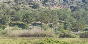 Menteşe - Yerkesik Satılık Arsa