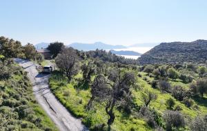 Marmaris - Söğüt Satılık Arsa